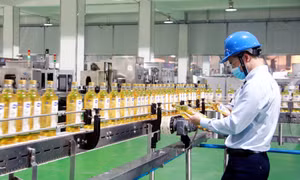 Thu hút dòng vốn FDI vào Quảng Ninh