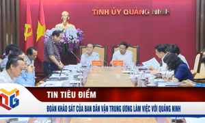 Đoàn khảo sát của Ban Dân vận Trung ương làm việc với Quảng Ninh