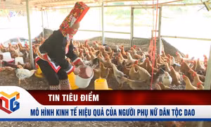Mô hình kinh tế hiệu quả của người phụ nữ dân tộc Dao