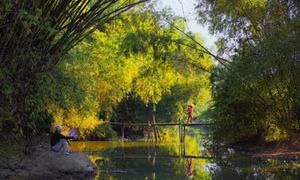 Làng cổ thuần Việt ở Bắc Giang