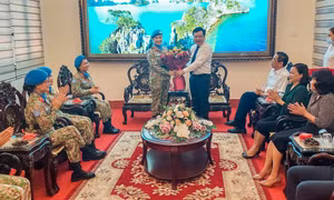 Lãnh đạo TP Móng Cái gặp mặt Đoàn cán bộ Cục Gìn giữ hòa bình Việt Nam