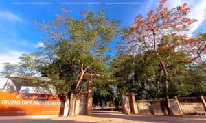 Chỉ đạo xử lý vụ thầy giáo tát học sinh thủng màng nhĩ