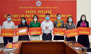 Hội Chữ thập đỏ TP Hạ Long: Phát động Tháng nhân đạo năm 2022
