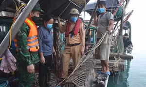 Bộ đội Biên phòng Quảng Ninh: Tích cực tham gia bảo vệ nguồn lợi thủy sản