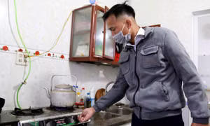 Tạo sinh kế và năng lượng sạch từ Dự án hỗ trợ chăn nuôi lợn sinh sản an toàn sinh học