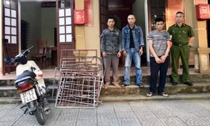 Bắt nhóm con nghiện chuyên "quờ quạng" nghĩa trang