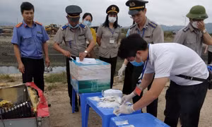 Tiêu hủy hơn 70 bánh heroin