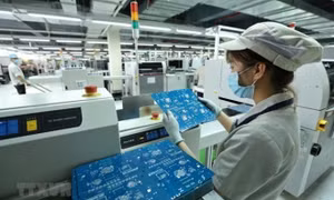 Ngân hàng thế giới dự báo tăng trưởng kinh tế Việt Nam đạt 5,3%