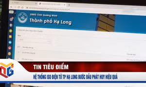 Hệ thống ISO điện tử TP Hạ Long bước đầu phát huy hiệu quả
