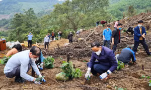 MTTQ và các đoàn thể: Nhập cuộc đưa Quảng Ninh cán đích NTM