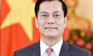 Bổ nhiệm lãnh đạo Bộ Ngoại giao và Ủy ban Quản lý vốn nhà nước tại doanh nghiệp
