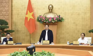 Nỗ lực, quyết tâm phục hồi nhanh và phát triển bền vững