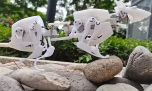 Chuột robot tìm người sống sót ở vùng thiên tai