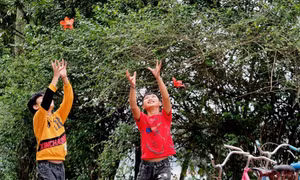 Ưu tiên hỗ trợ vốn cho các xã, huyện chưa đạt chuẩn nông thôn mới