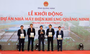 Linh hoạt các giải pháp xúc tiến đầu tư trong tình hình mới