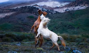Tiên cảnh ở Iceland