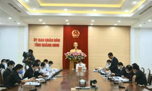 Rà soát, giải quyết đơn khiếu nại của bà Đinh Thị Kim Liên