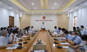Chuẩn bị thành lập Tổ công nghệ số cộng đồng để hỗ trợ chuyển đổi số