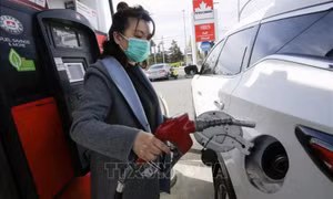 WB dự báo giá năng lượng, thực phẩm sẽ leo cao trong 3 năm
