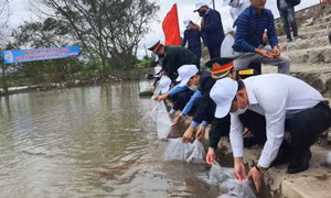 Quảng Ninh: Thả tôm, cá giống tái tạo nguồn lợi thủy sản