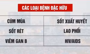 Điều gì sẽ xảy ra khi COVID-19 trở thành bệnh đặc hữu?