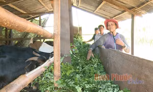 Khơi nguồn cho "tam nông" đổi mới