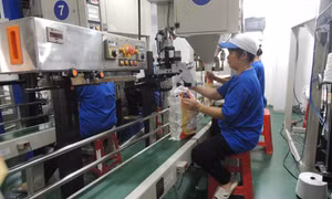 Gạo Việt Nam ghi dấu ấn về chất lượng