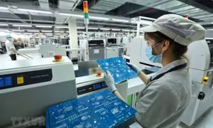 Từ 15/4, tiến hành điều tra doanh nghiệp trên phạm vi cả nước