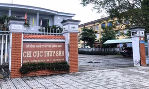 Khởi tố nguyên Chi cục trưởng Chi cục thủy sản Quảng Nam