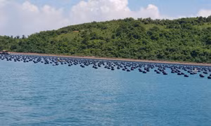 Người tiên phong sử dụng phao HDPE trong nuôi trồng thủy sản