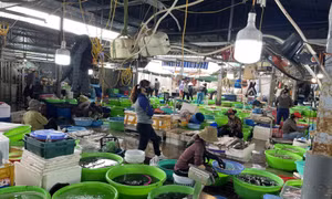 Nỗi lo "bà hoả" ở các chợ truyền thống