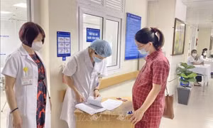Các mức hưởng chế độ thai sản trong năm nay như thế nào?
