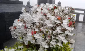 Fansipan xuất hiện băng giá