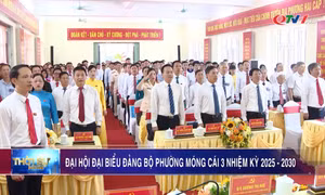 Đại hội đại biểu Đảng bộ phường Móng Cái 3 nhiệm kỳ 2025-2030