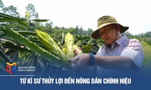 Từ kĩ sư thủy lợi đến nông dân chính hiệu