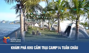 Khám phá khu cắm trại Camp14 Tuần Châu