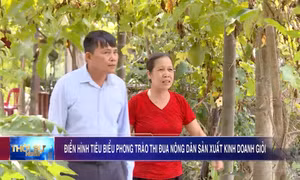 Điển hình tiêu biểu phong trào thi đua nông dân sản xuất kinh doanh giỏi
