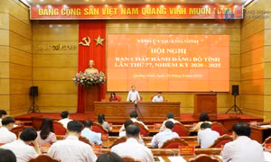 Ban Chấp hành Đảng bộ tỉnh cho ý kiến về công tác chuẩn bị Đại hội đại biểu Đảng bộ tỉnh lần thứ XVI