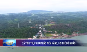Xã Vĩnh Thực khai thác tiềm năng, lợi thế biển đảo