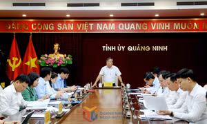 Giao ban Thường trực Tỉnh ủy