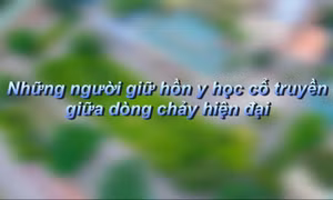 Những người giữ hồn y học cổ truyền giữa dòng chảy hiện đại
