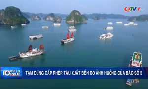Tạm ngừng cấp phép tàu do ảnh hưởng của bão số 5