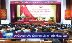 Đại hội đại biểu Đảng bộ UBND tỉnh lần thứ I, nhiệm kỳ 2025-2030