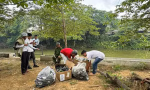 Xử lý người đàn ông đổ vỏ chai bia xuống sông ở Huế