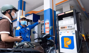 Xăng sinh học: Đã đánh giá tác động kỹ lưỡng