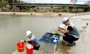 Bảo vệ môi trường: Giải pháp bền vững trong phòng, chống thiên tai