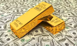 Chính phủ ban hành Nghị định quy định xử phạt vi phạm hành chính trong lĩnh vực hải quan