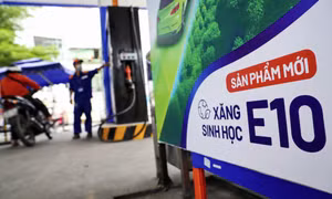 Giá xăng E10 giảm mạnh trước ngày bán đại trà