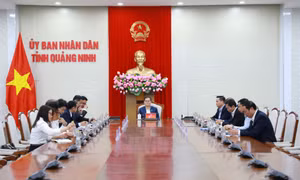 Chủ tịch UBND tỉnh làm việc với Tập đoàn Amata và Tập đoàn Marubeni