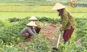 Khơi dậy sức dân trong xây dựng nông thôn mới